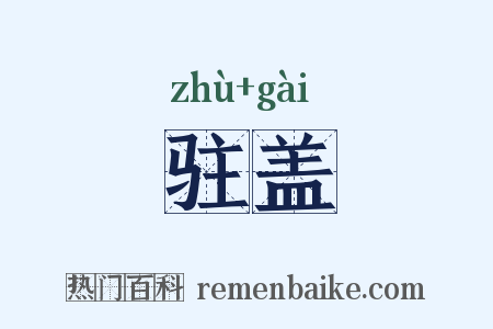 驻盖是什么意思的图片